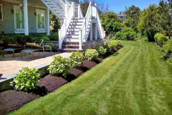 featured image - 10 Ways to Take Care of Your Lawn the Right Way!