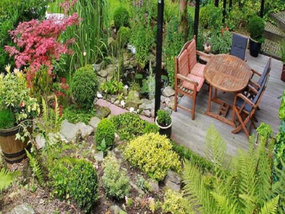 featured image - Gardening Tips for the Perfect Backyard