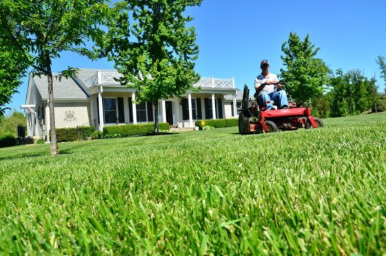 featured image - Best Lawn Care and Maintenance Tips for Your Garden