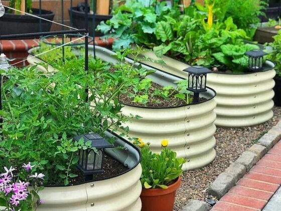 featured image - Quick and Easy DIY Backyard Projects