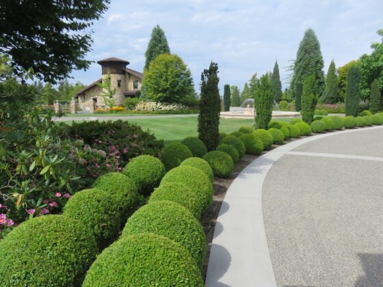 featured image - How Much Is Landscaping Helpful to Increase Property Value