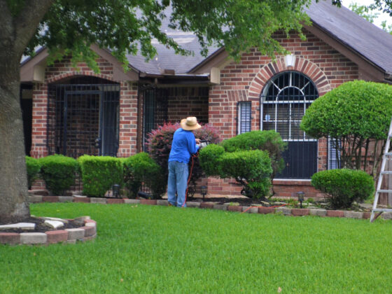 featured image - How to Spruce Up Your Front Yard