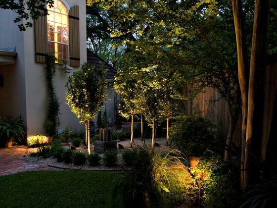 featured image - Make the Right Landscape Lighting Choice for Your Needs