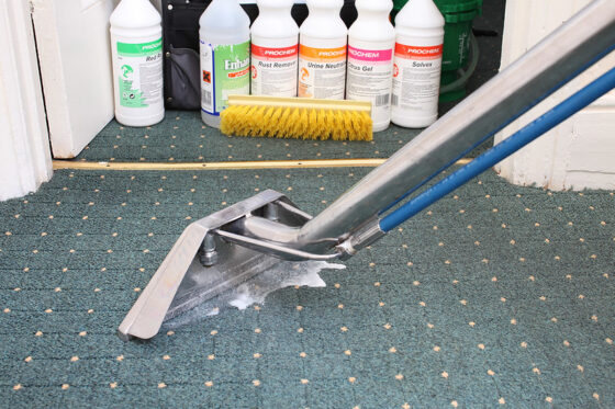 featured image - The Benefits of Commercial Carpet Cleaning Services