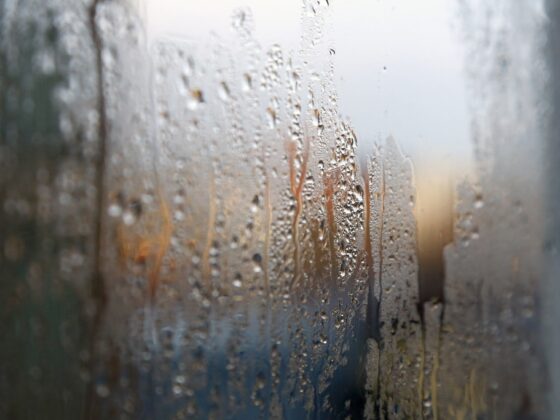 featured image - Understanding Humidity in Weather
