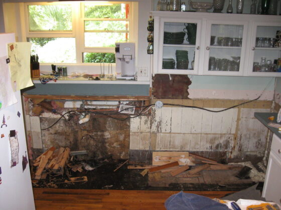 featured image - Understanding the Different Types of Water Damage