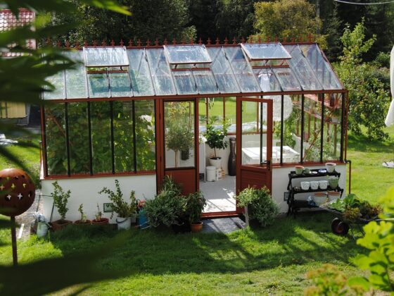 featured image - Green Thumb Guide Maintaining Your Backyard Greenhouse