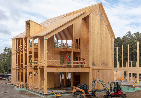 featured image - The Ultimate Guide to Choosing the Most Sustainable Wood for Construction