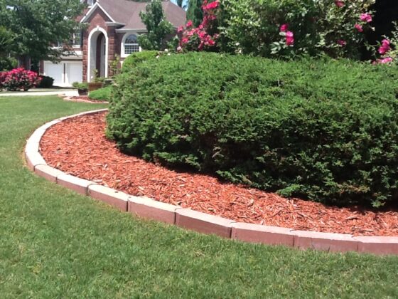 featured image - How to Install a Brick Garden Border
