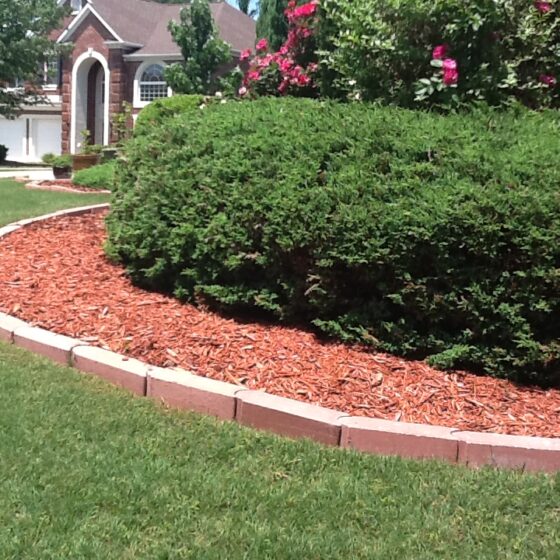 featured image - How to Install a Brick Garden Border